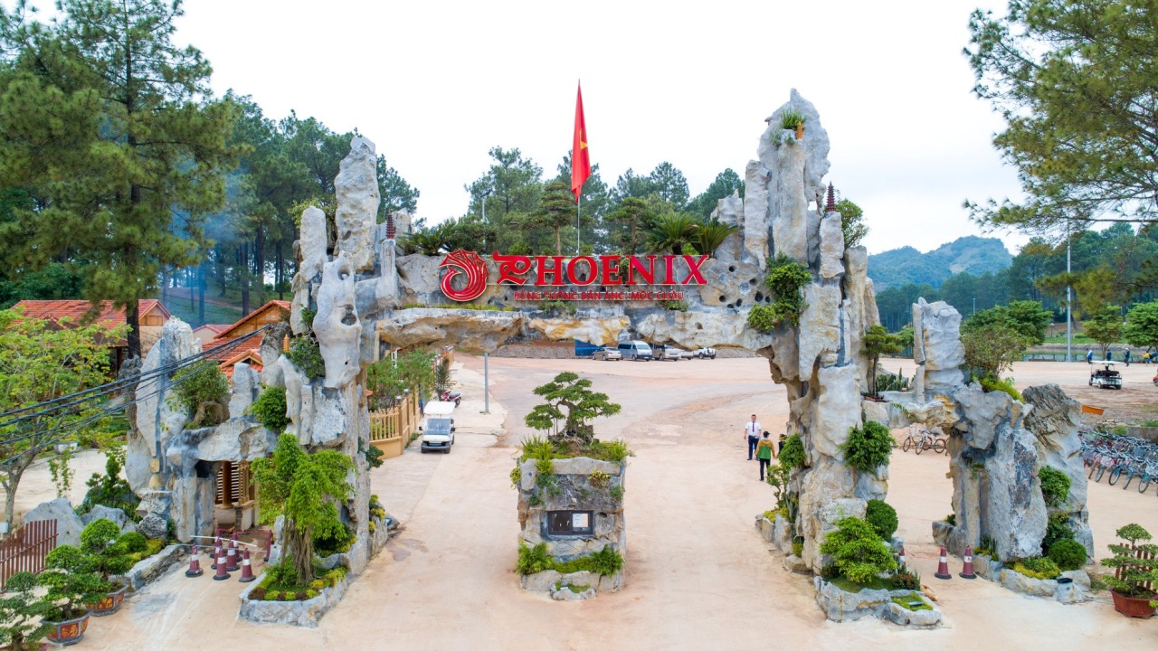 Phoenix Mộc Châu Resort- homestay đẹp tại Sơn La